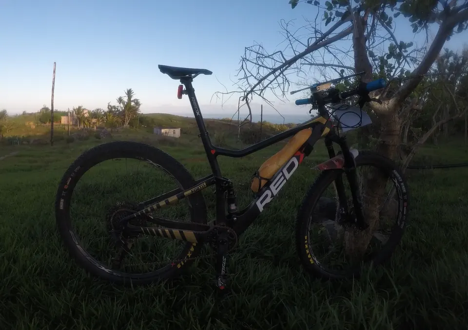 Mountain bike resting on grass at dawn