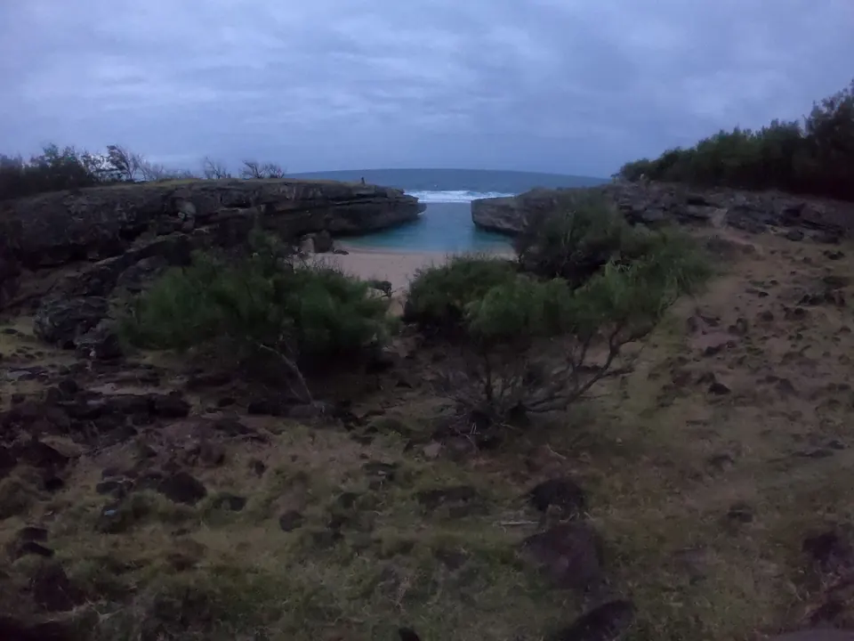 Rocky coastline with scrub and a small bay