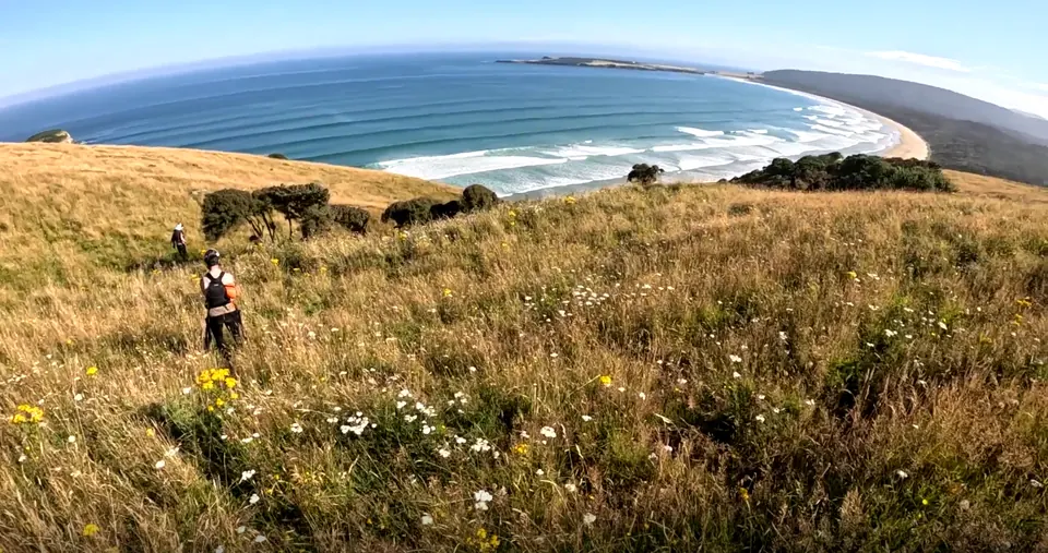 Racer trekking across a grassy headland above a curving beach