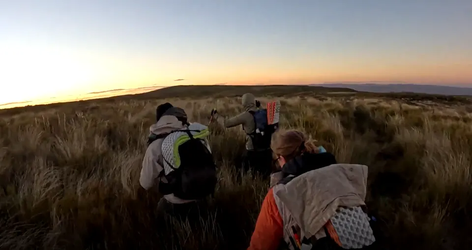 Racers trekking through tall grass at sunset